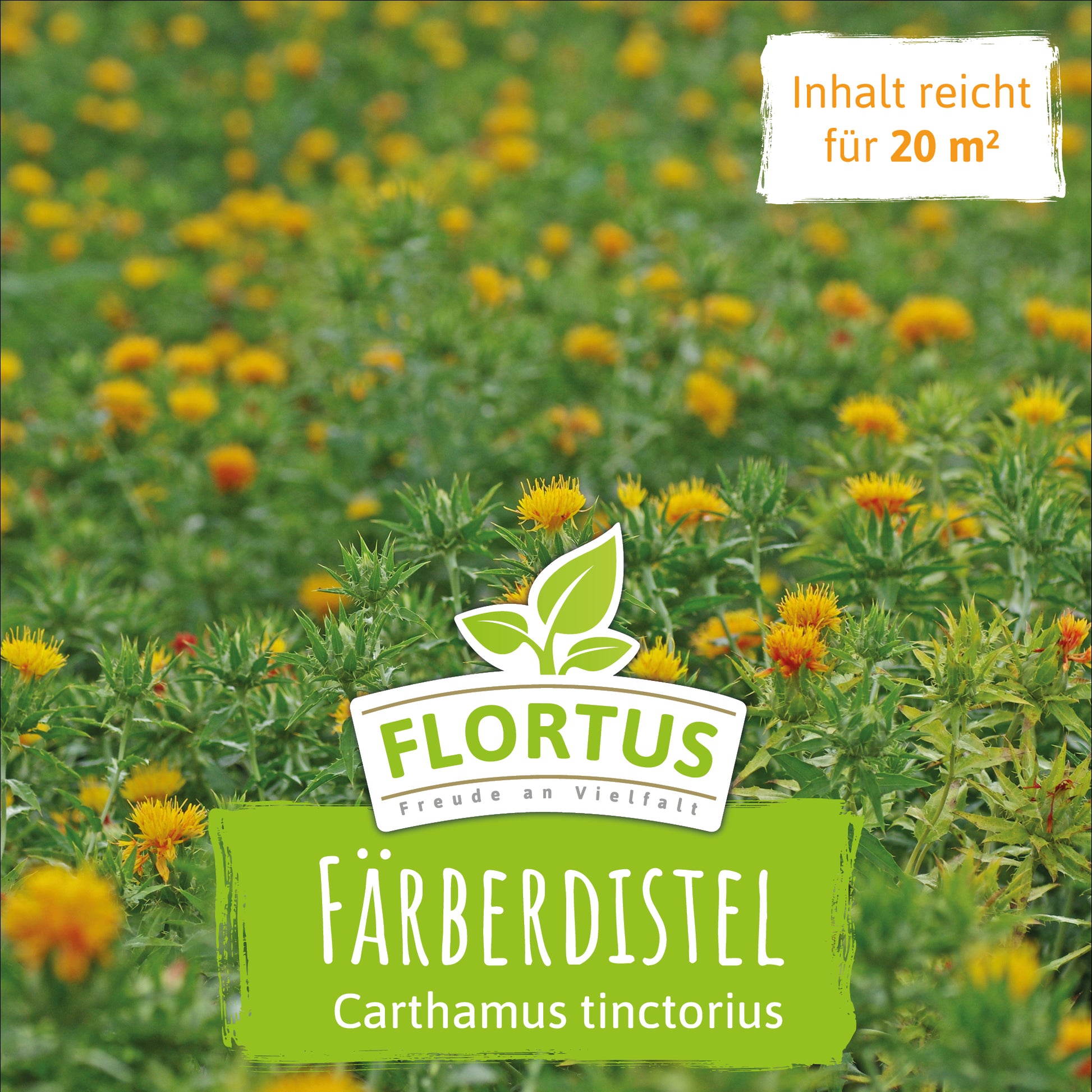  Wiesenblume Färberdistel (100 G)