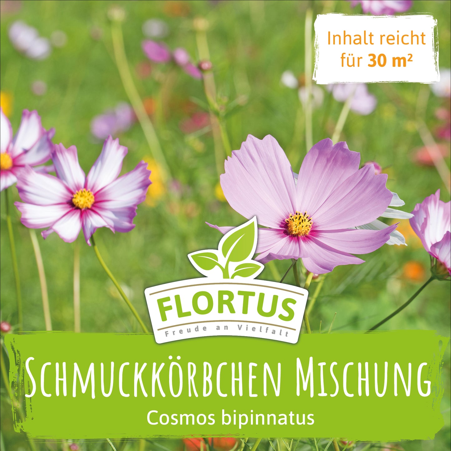  Wiesenblume Schmuckkörbchen (100 G)