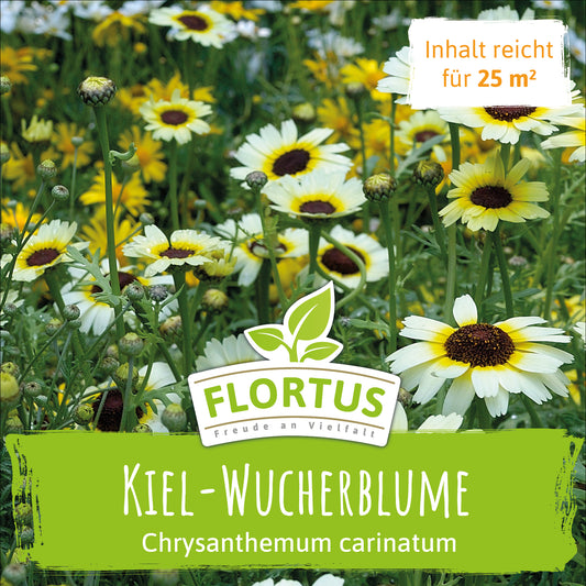  Wiesenblume Kiel-Wucherblume (50 G)
