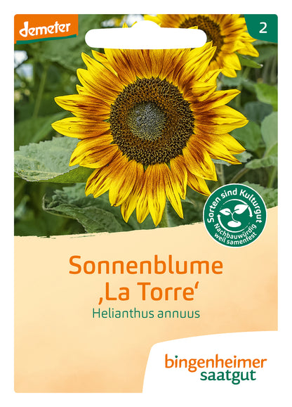  BIO Sonnenblume La Torre
