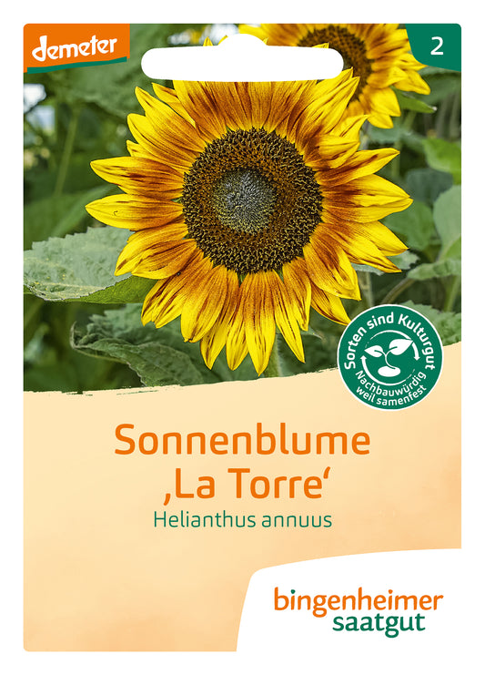  BIO Sonnenblume La Torre