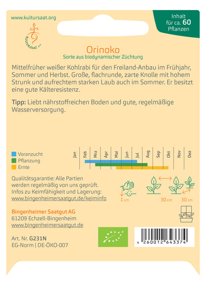  BIO Kohlrabi Orinoko