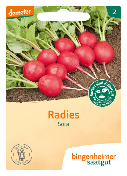  BIO Radies Sora