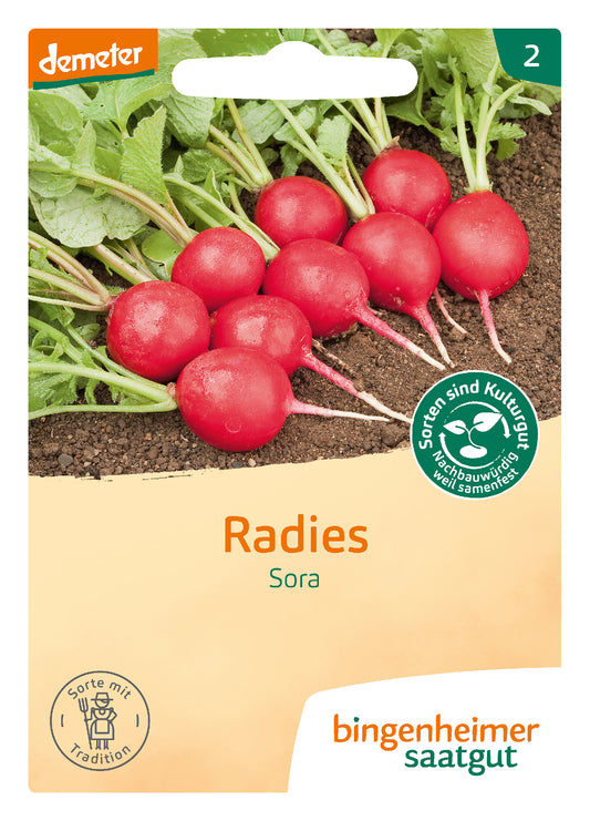  BIO Radies Sora