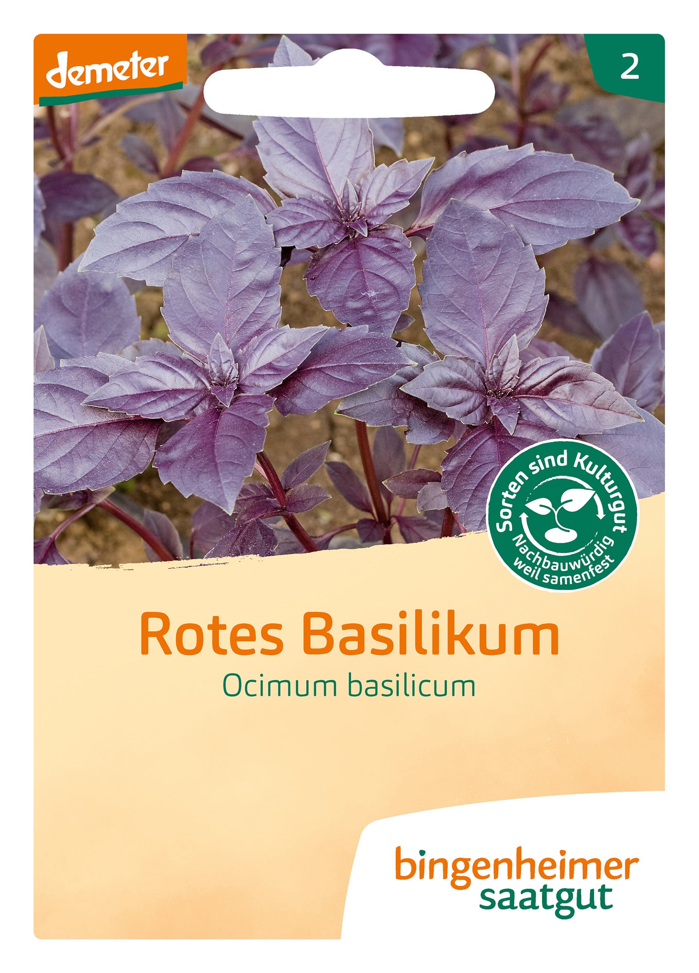  BIO Rotes Basilikum