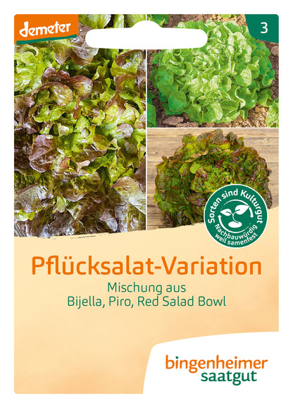  BIO Pflücksalatmischung, Pflücksalat-Variation