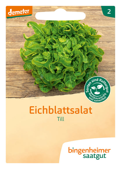  BIO Pflücksalat Till