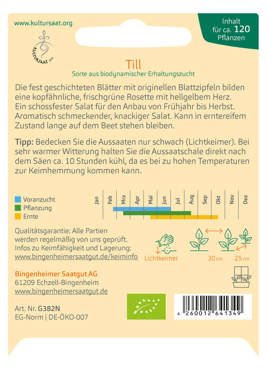  BIO Pflücksalat Till