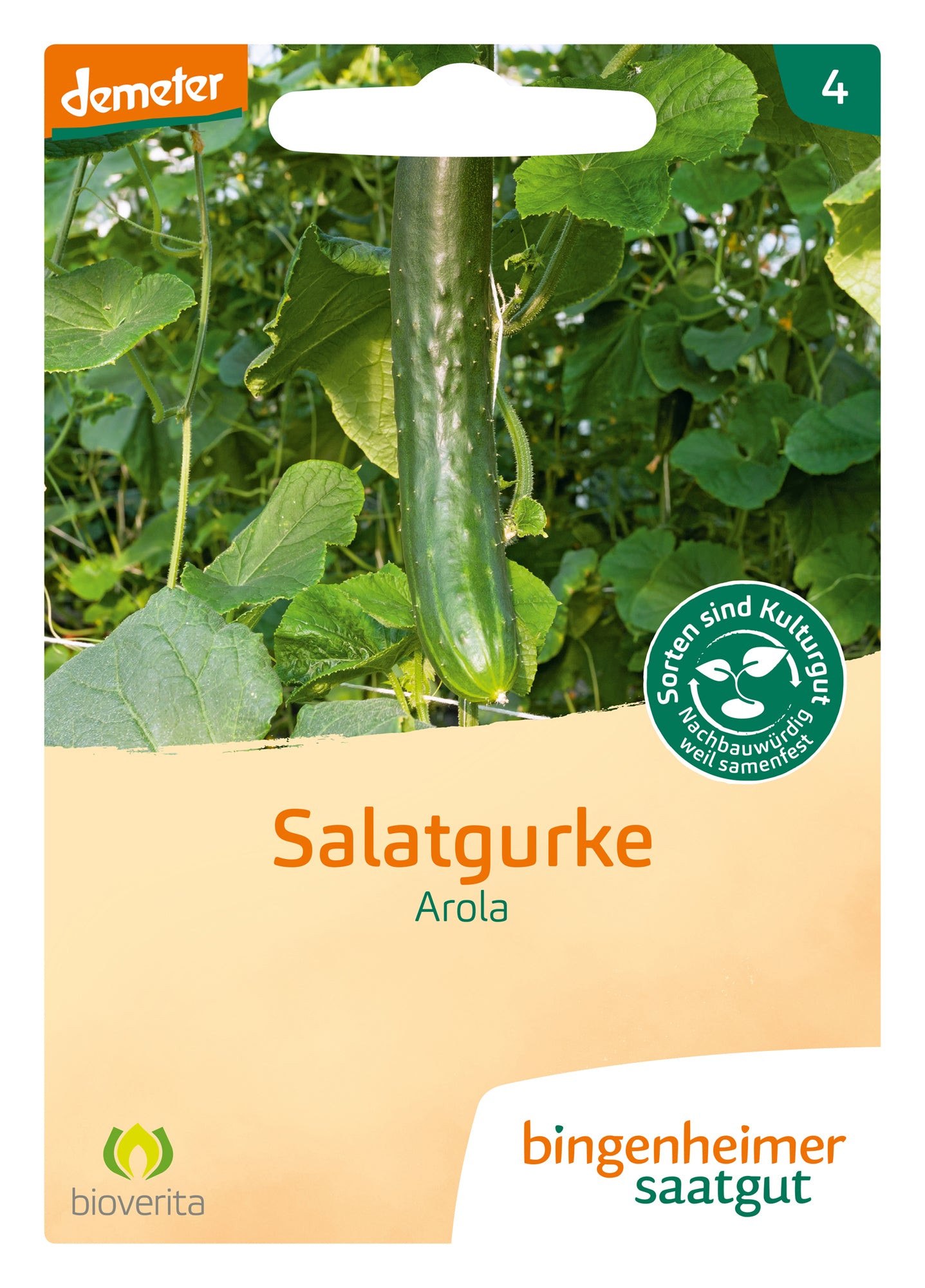  BIO Salatgurke Arola