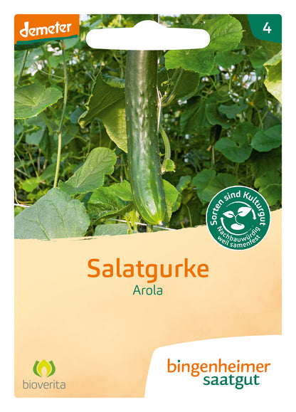  BIO Salatgurke Arola