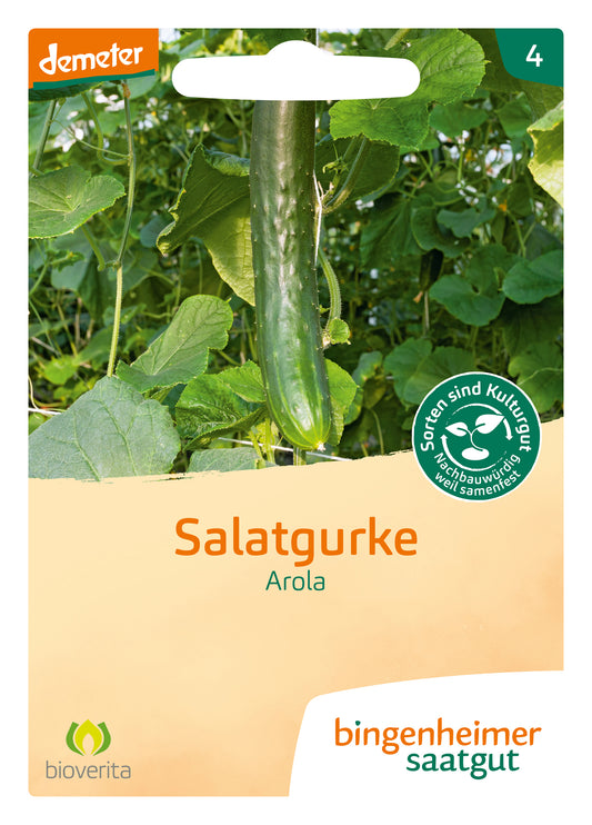  BIO Salatgurke Arola