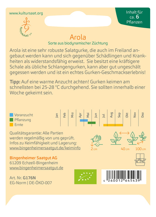  BIO Salatgurke Arola