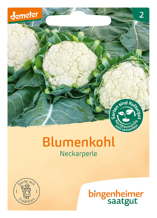  BIO Blumenkohl Neckarperle
