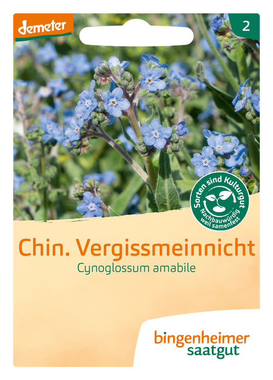  BIO Chinesisches Vergissmeinnicht