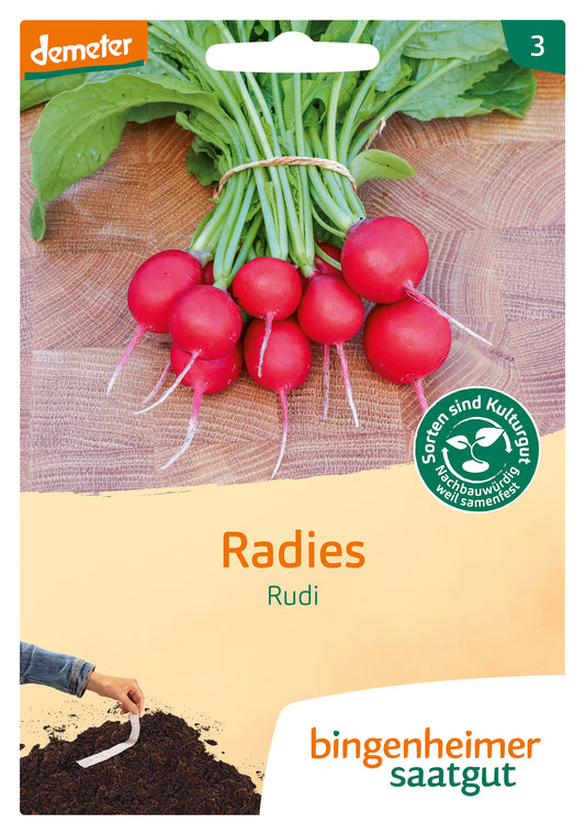  BIO Radies Rudi GS Saatband