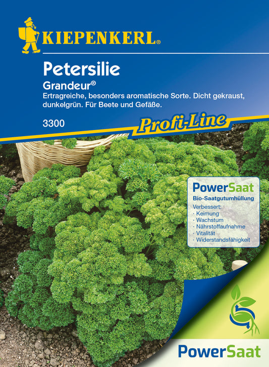  Petersilie Darki ("Grandeur") PowerSaat [MHD 01/2026]