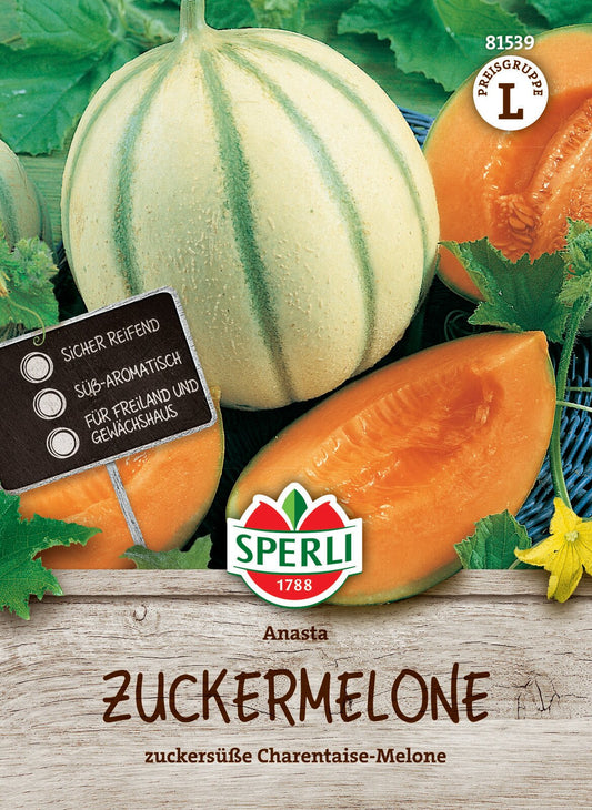  Zuckermelone Anasta F1