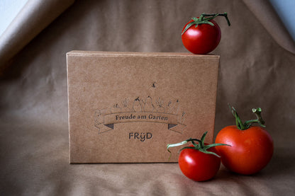  Fryd BIO Freiland-Tomaten-Set