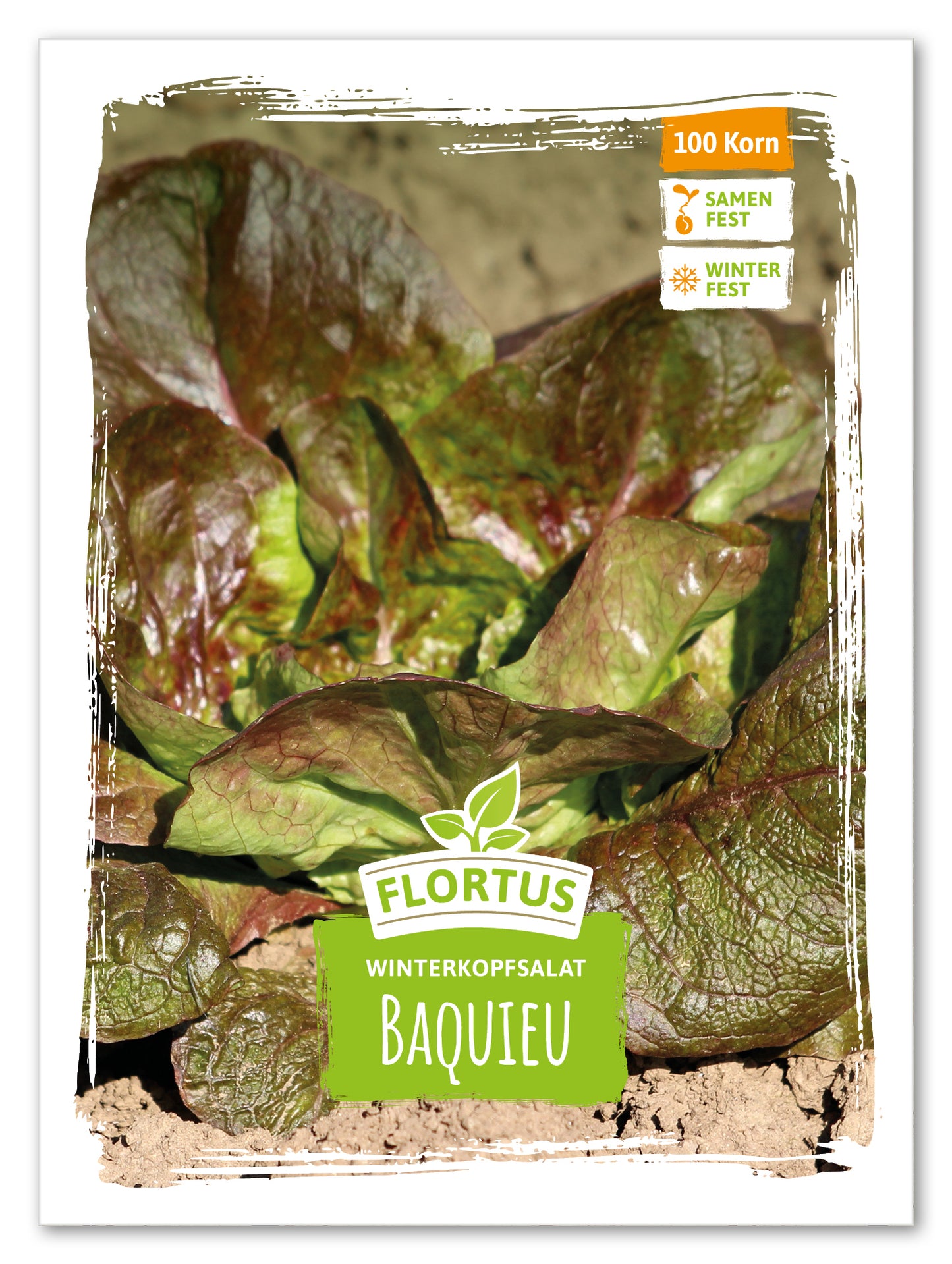  Winterkopfsalat Baquieu