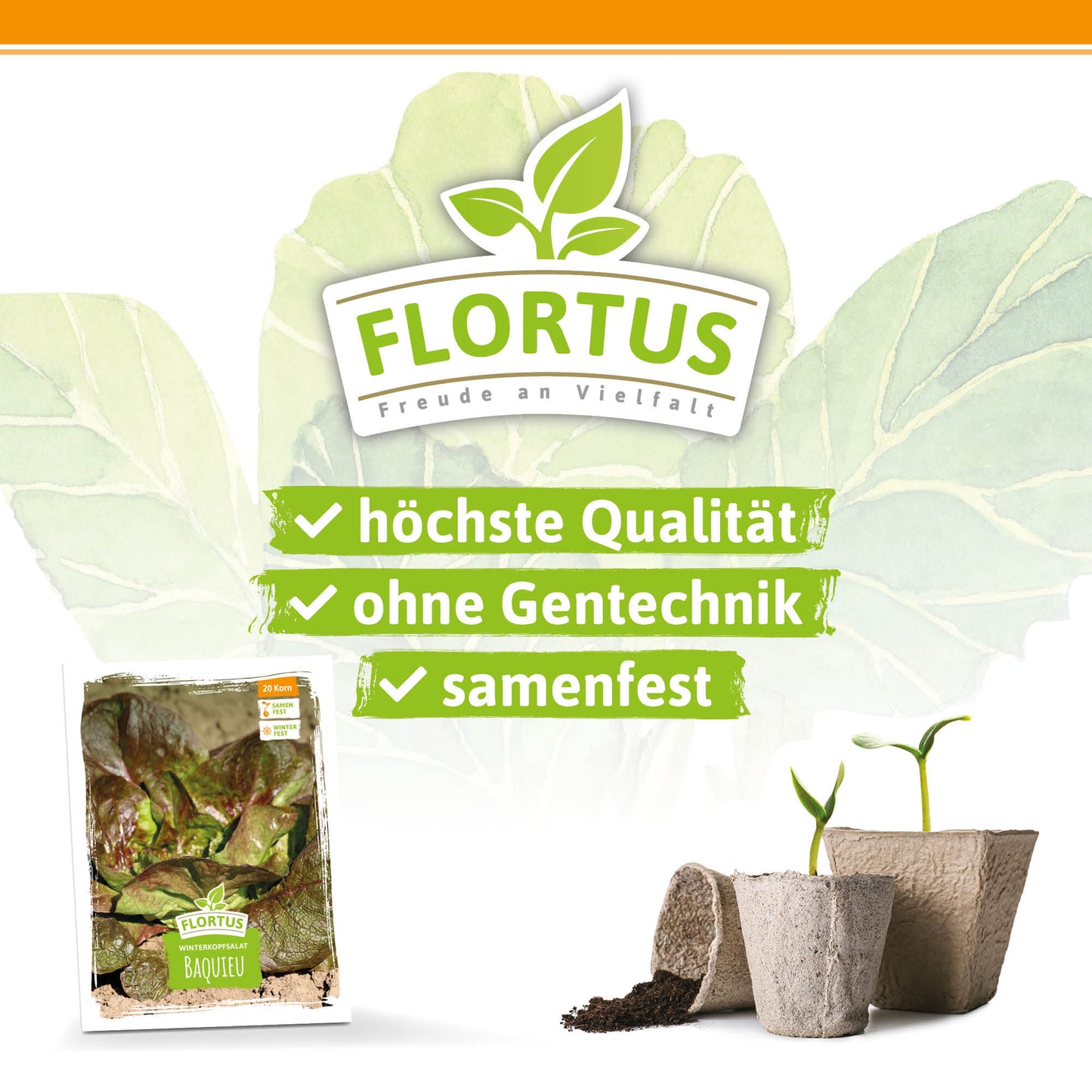  Winterkopfsalat Baquieu