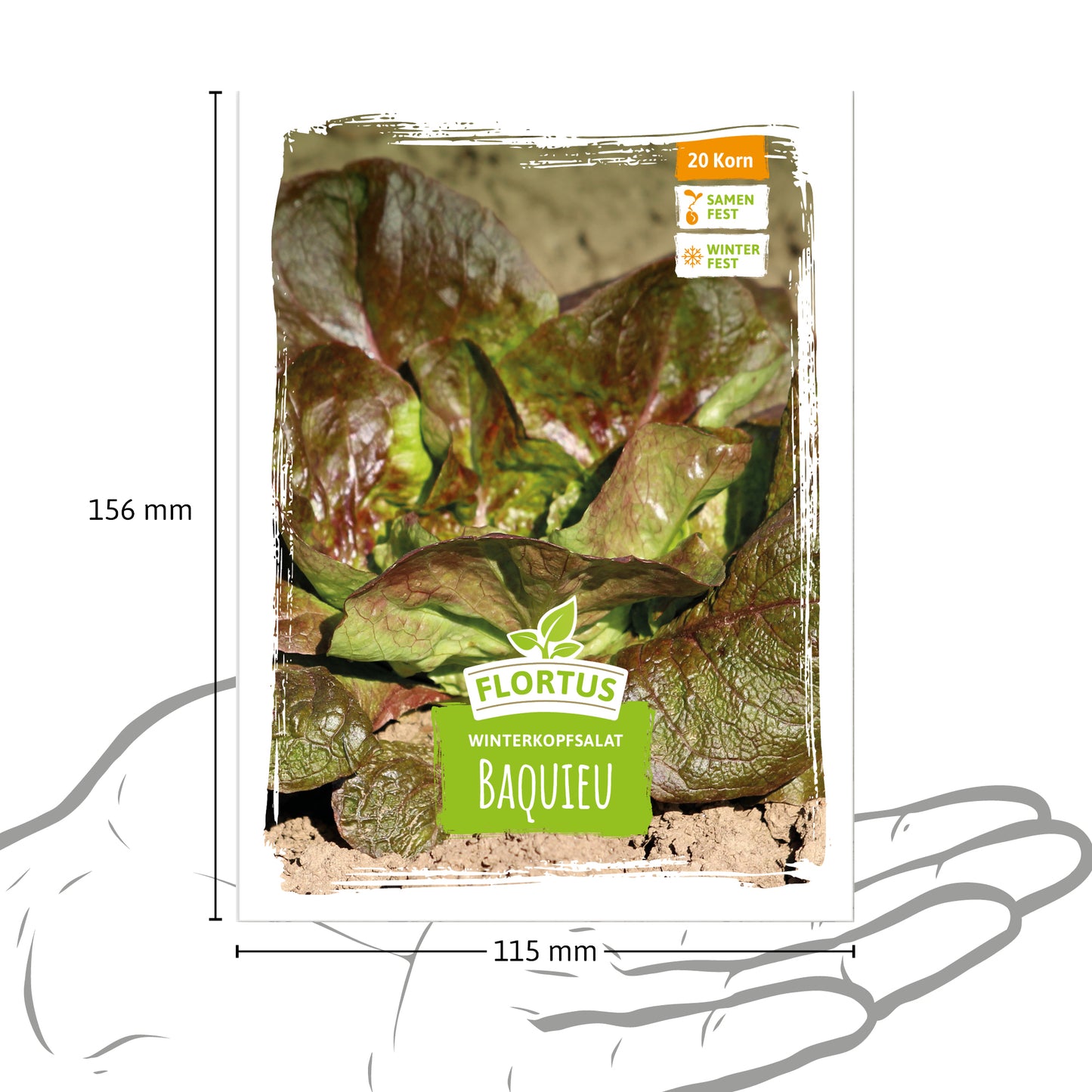  Winterkopfsalat Baquieu