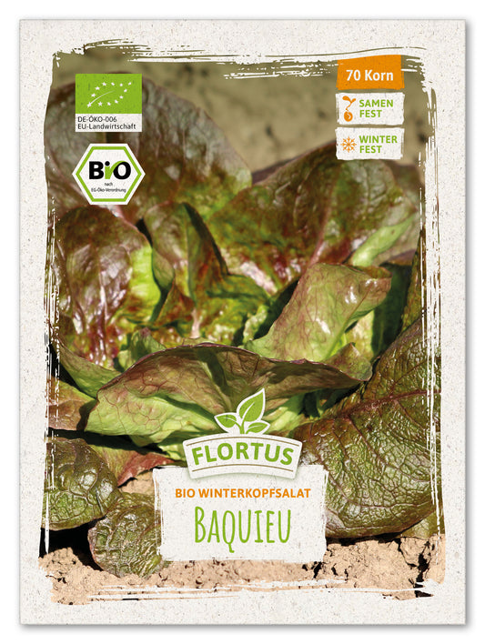  BIO Winterkopfsalat Baquieu