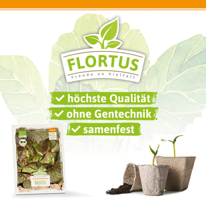  BIO Winterkopfsalat Baquieu