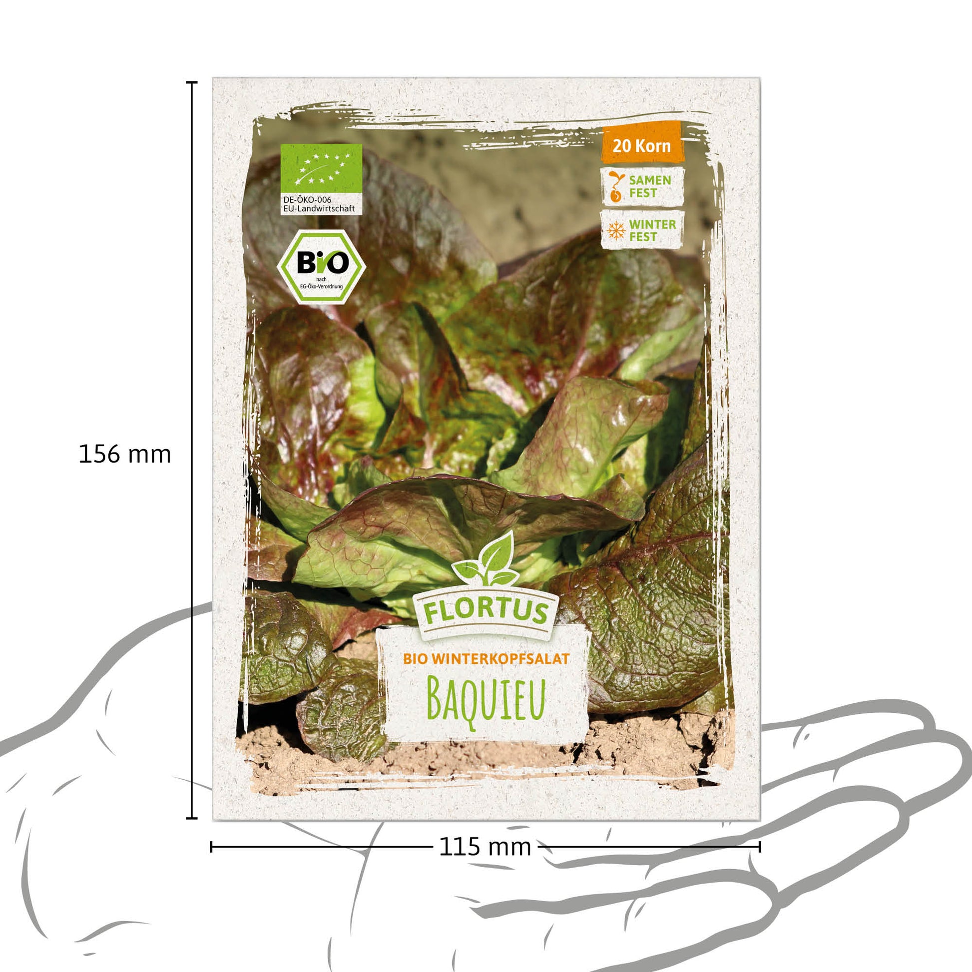  BIO Winterkopfsalat Baquieu