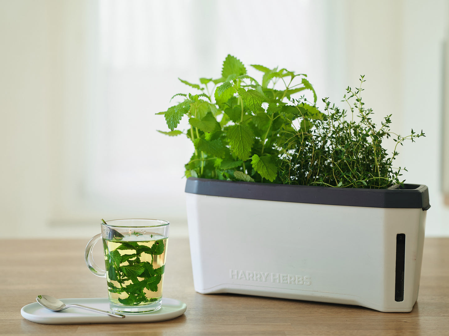  HARRY HERBS Weiß Ohne Haube