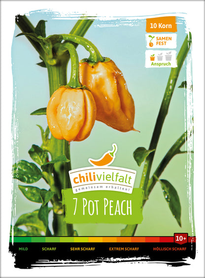  Chili 7 Pot Peach