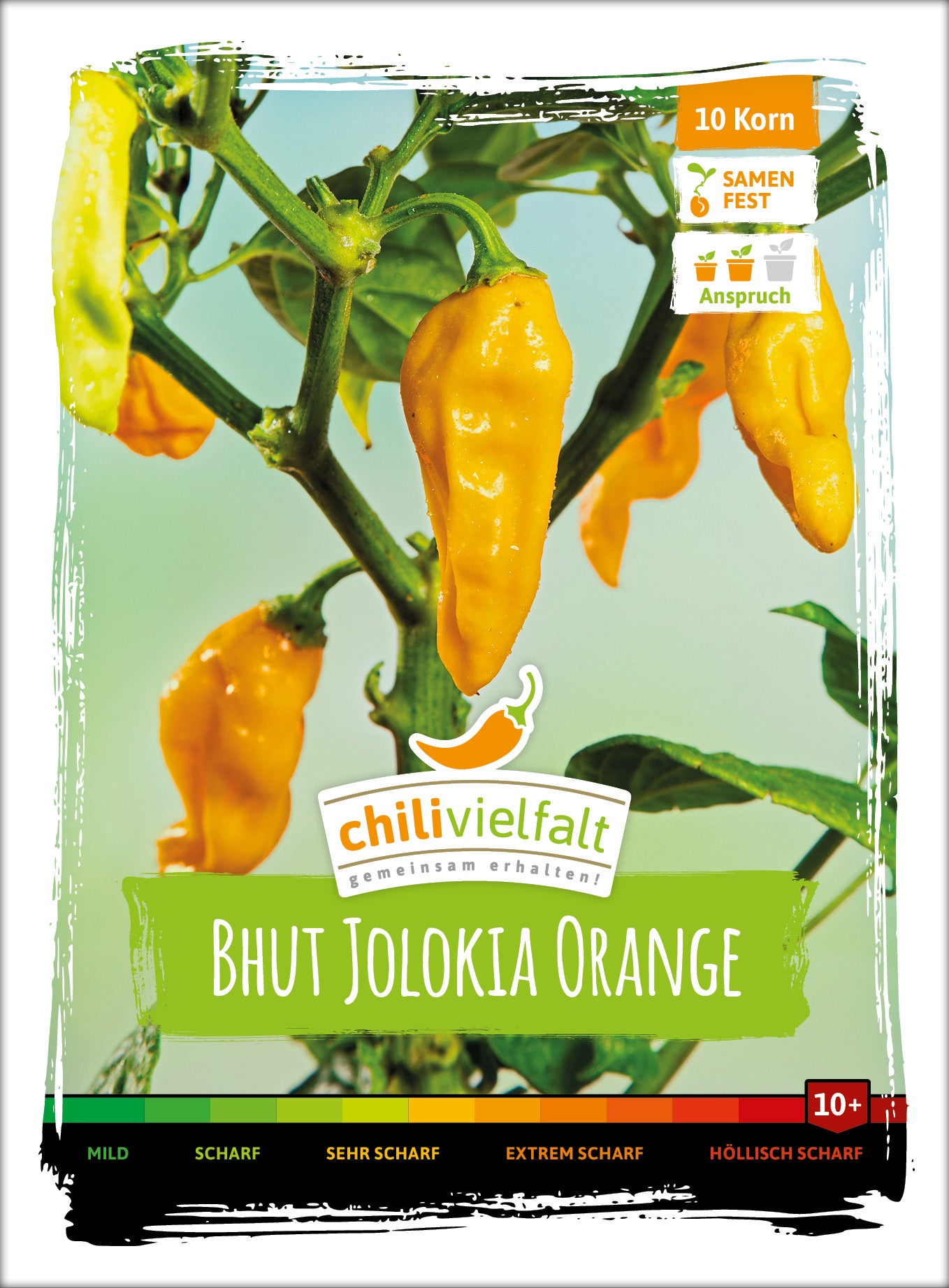  Chili Bhut Jolokia Orange