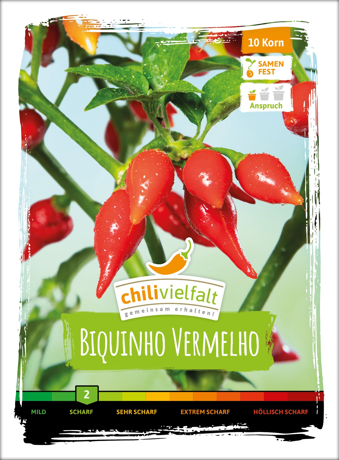  Chili Biquinho Vermelho