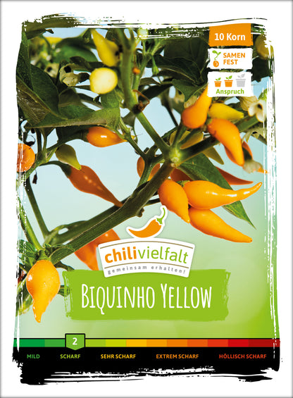  Chili Biquinho Yellow