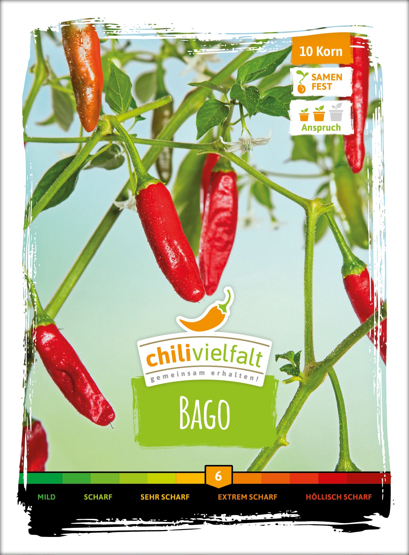 Chili Bago