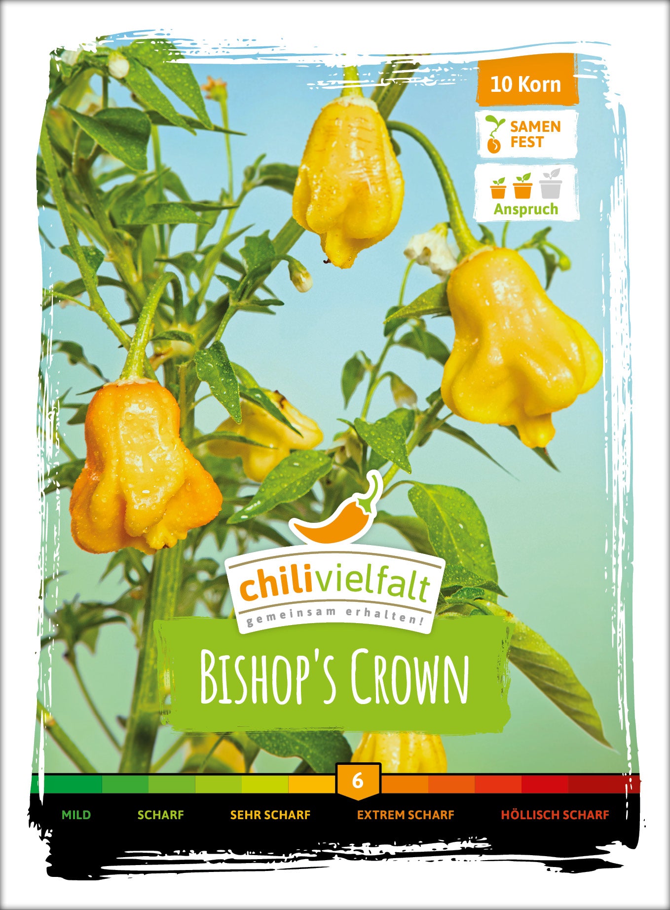  Chili Bishop´s Crown