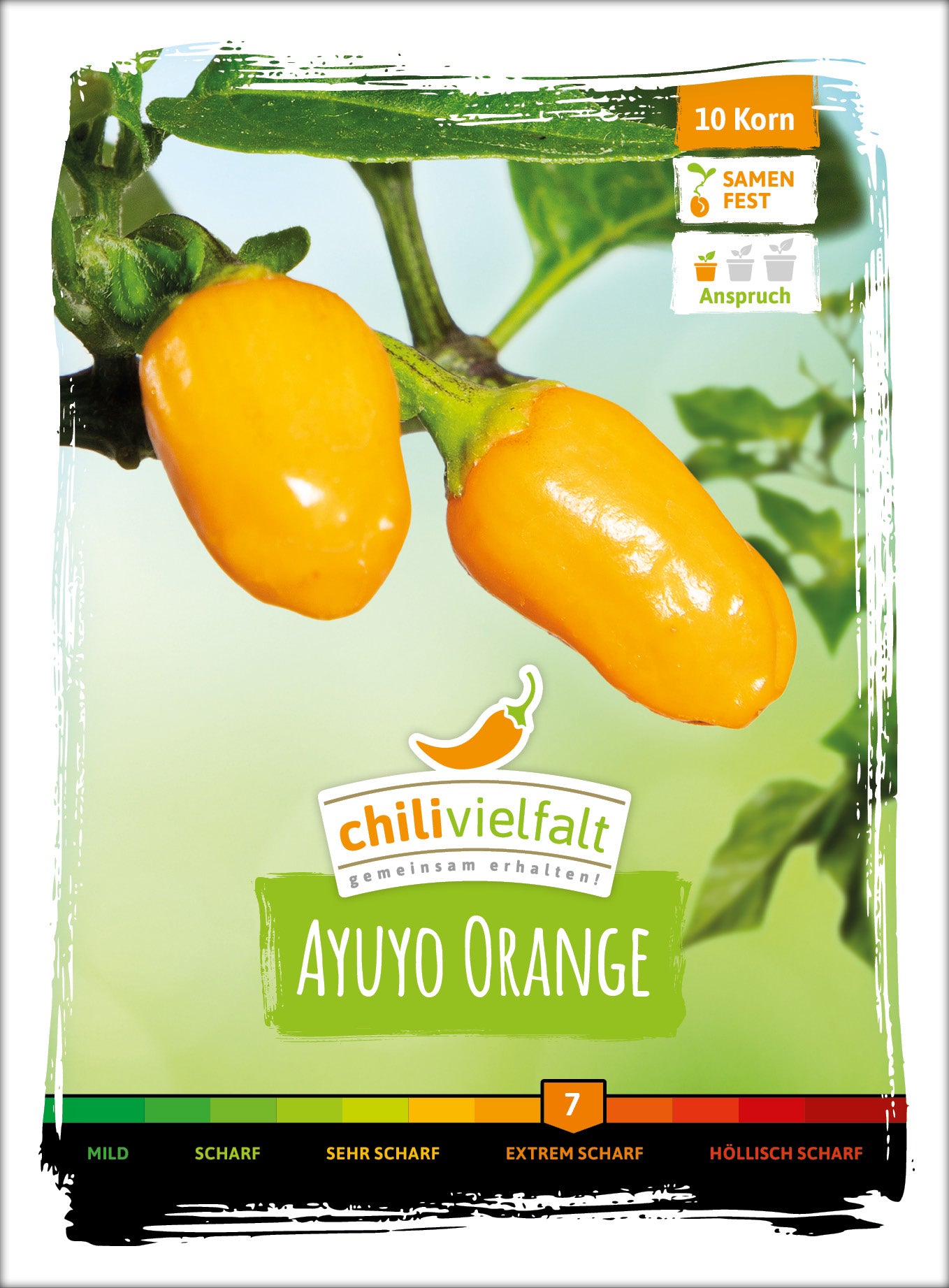  Chili Ayuyo Orange