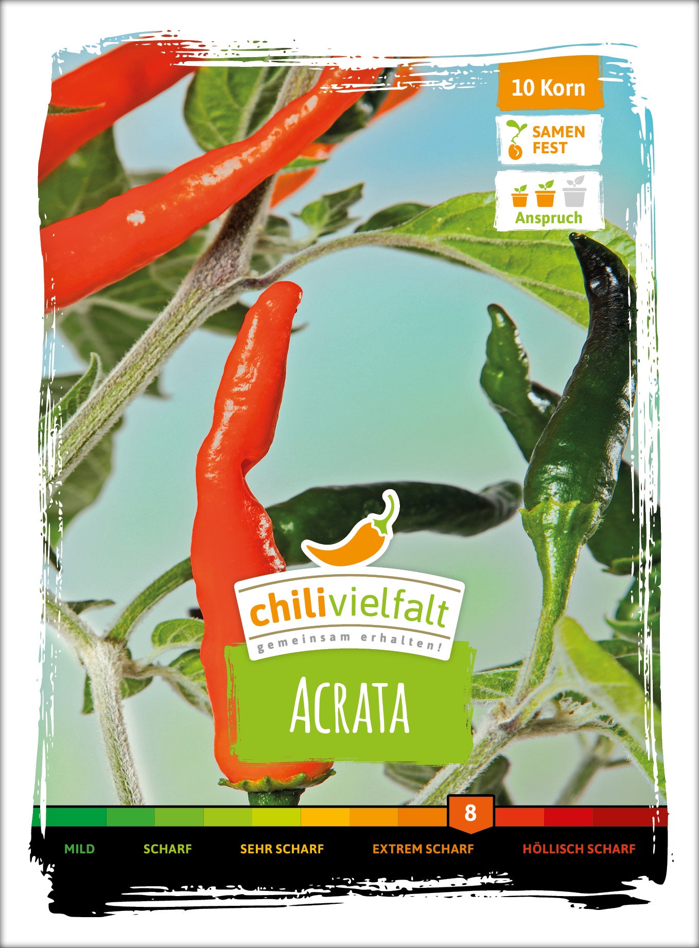  Chili Acrata