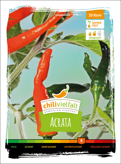  Chili Acrata