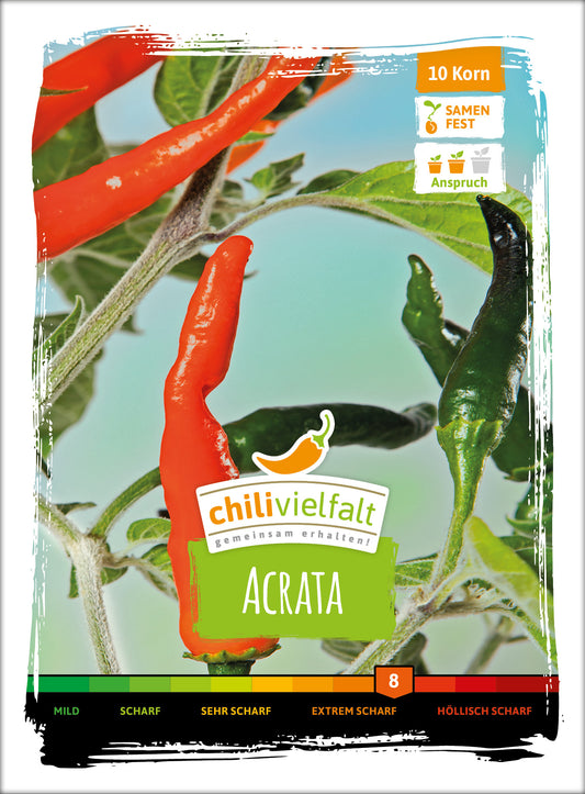  Chili Acrata