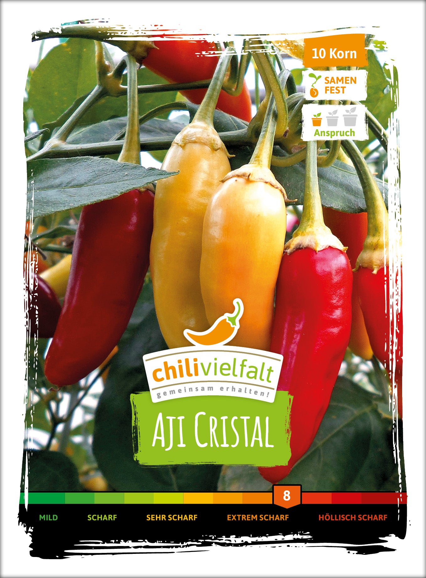  Chili Aji Cristal