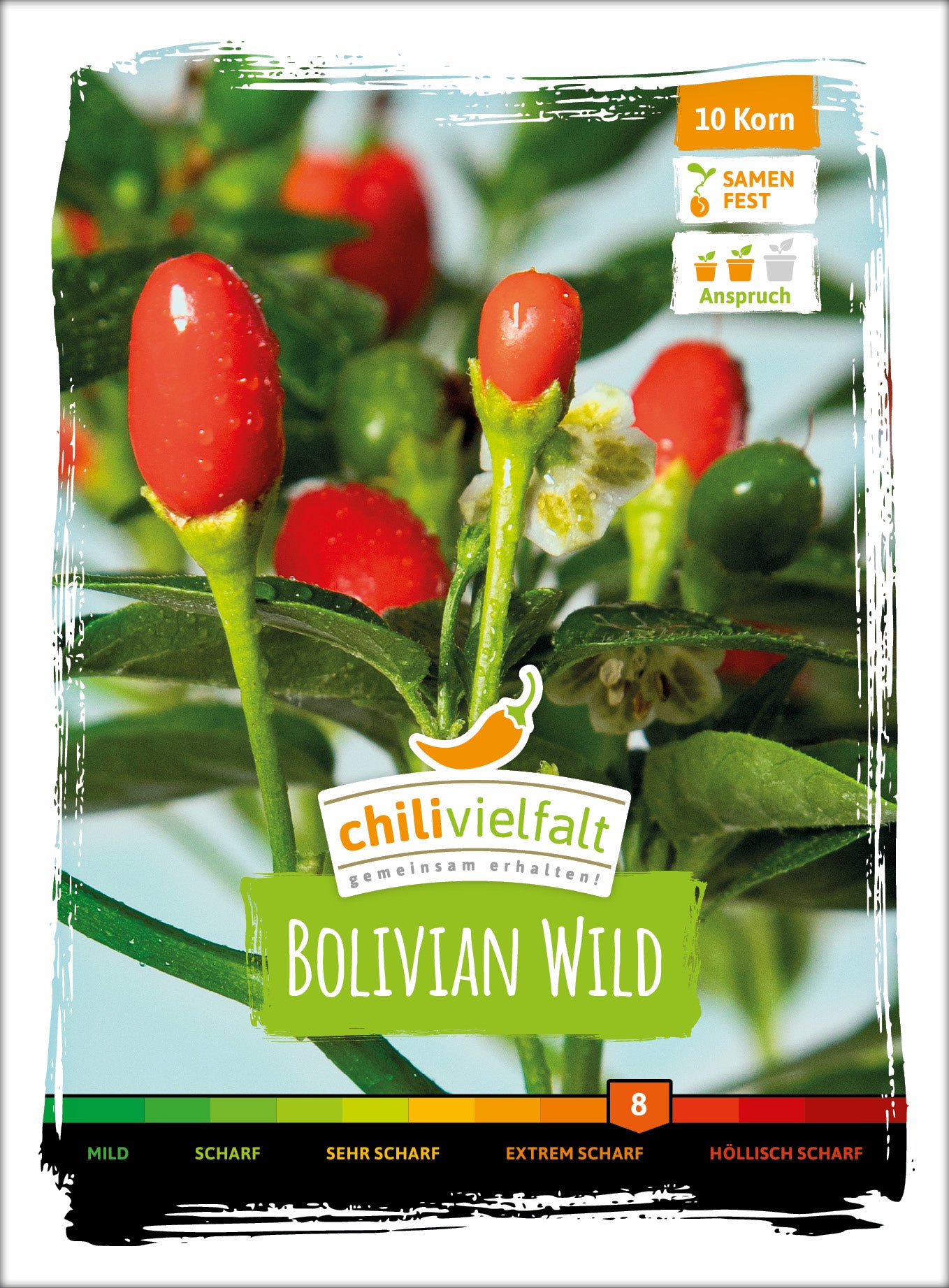  Chili Bolivian Wild