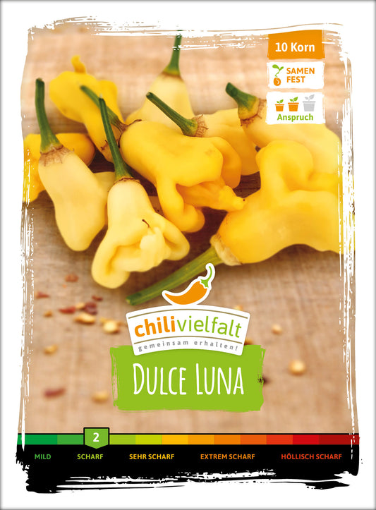  Chili Dulce Luna