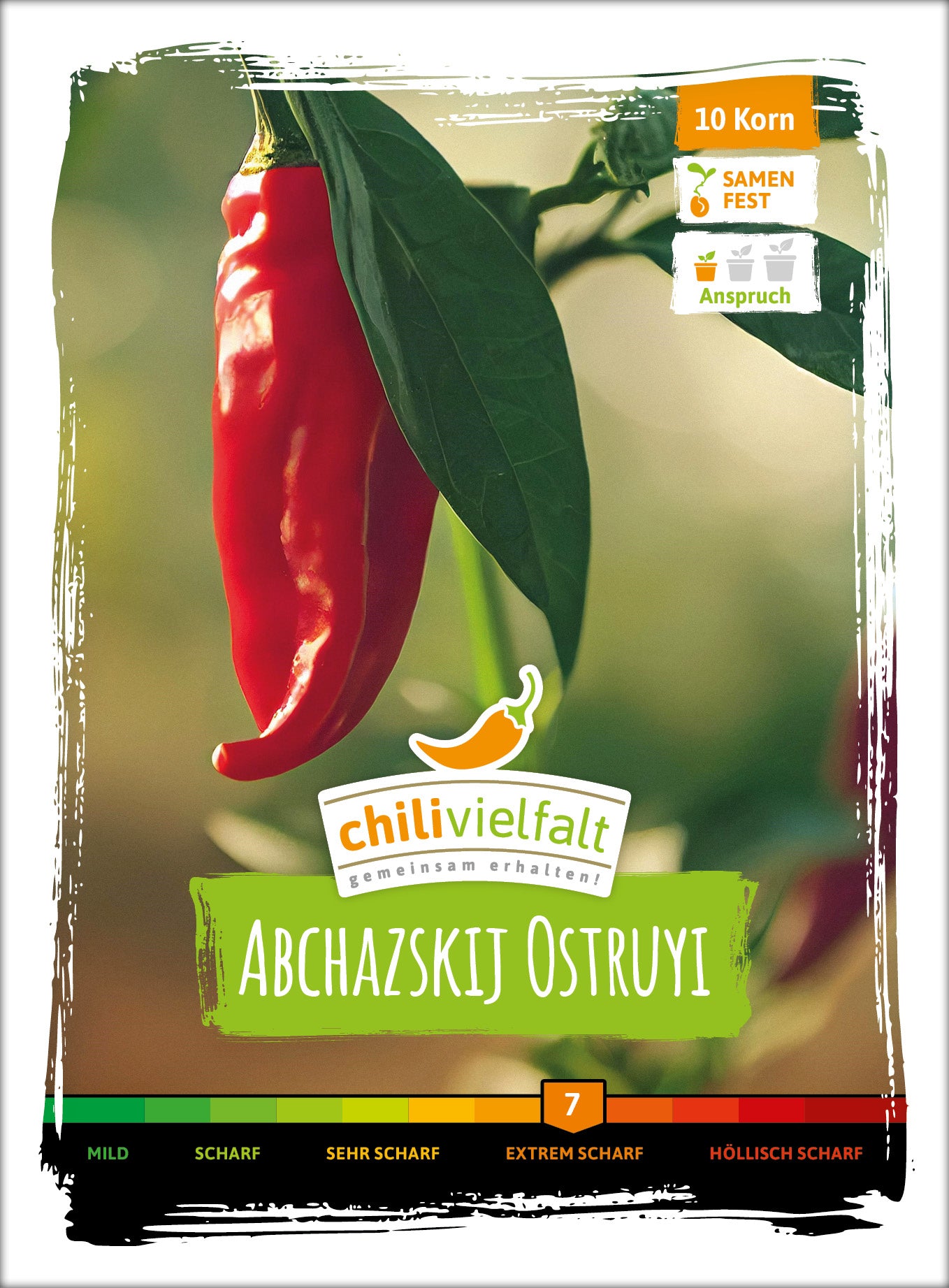  Chili Abchazskij Ostruyi