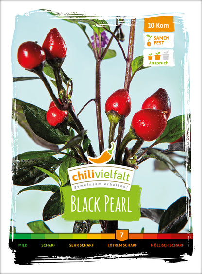  Chili Black Pearl