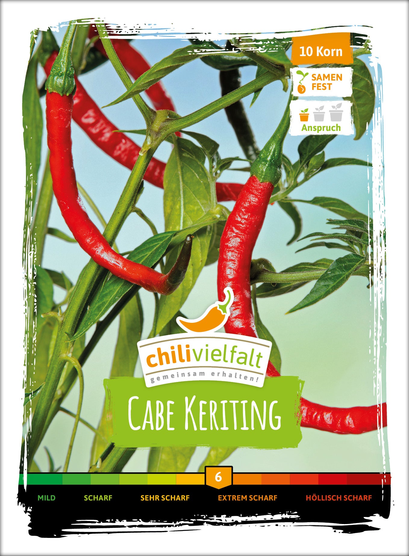  Chili Cabe Keriting