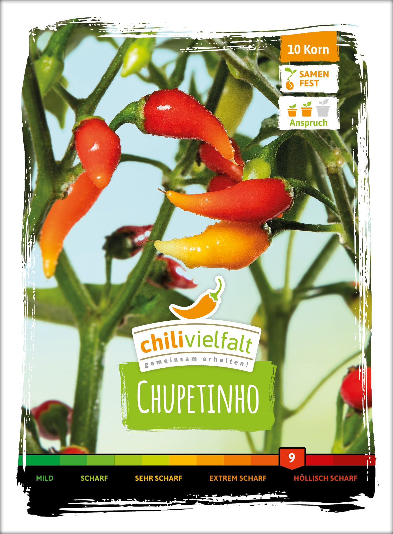  Chili Chupetinho