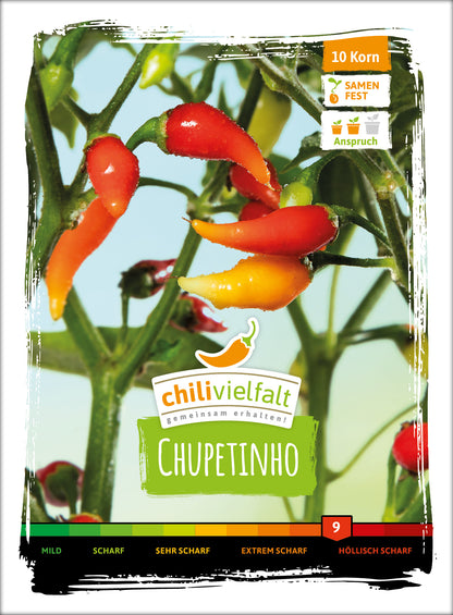  Chili Chupetinho