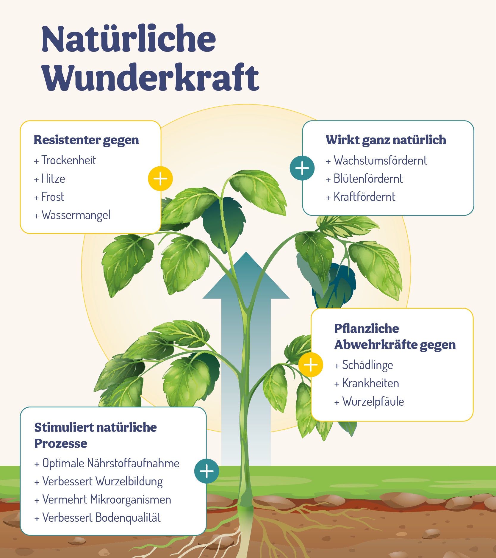  GartenWunder - Für Gartenpflanzen (250 Ml)