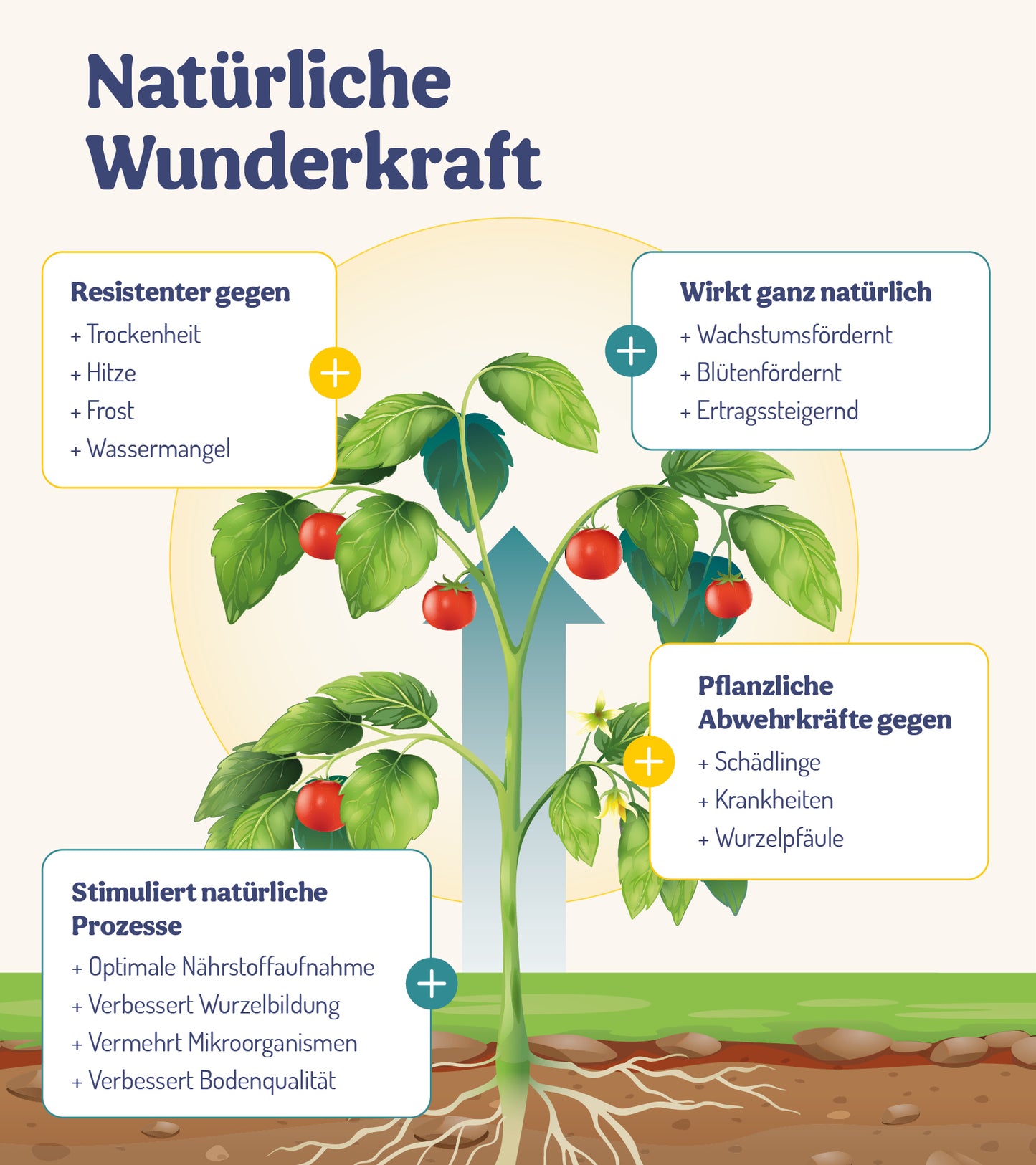  ErnteWunder - Für Obst & Gemüse (250 Ml)