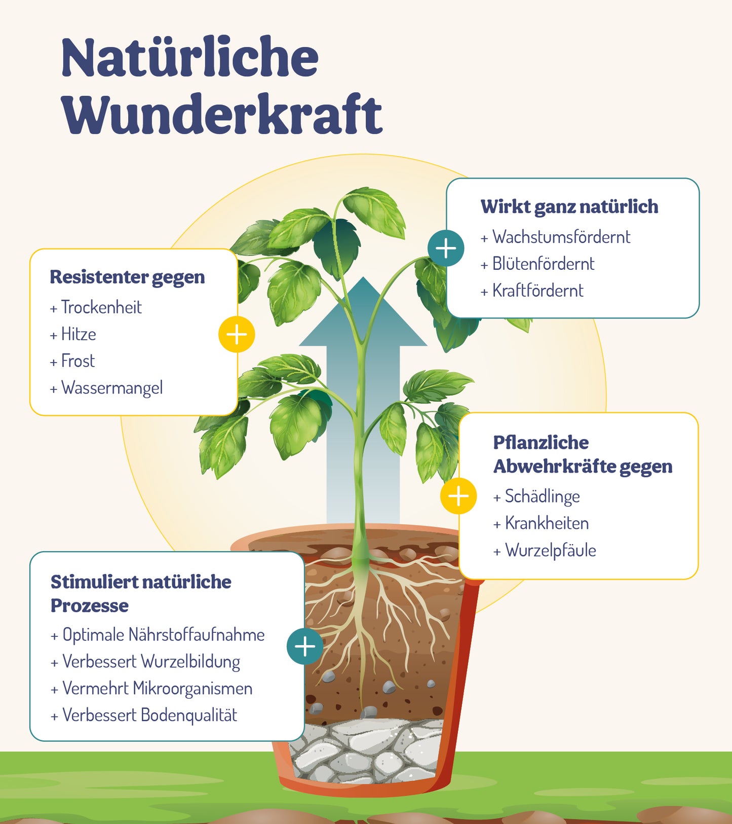  BalkonWunder - Für Topf- & Kübelpflanzen (250 Ml)